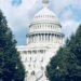 Democracy at the U.S. Capitol