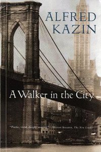 A Walker in the City book cover