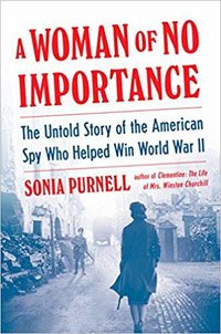 American spy: A Woman Of No Importance Book Cover