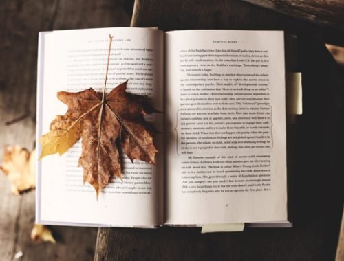 Book with fallen leaf