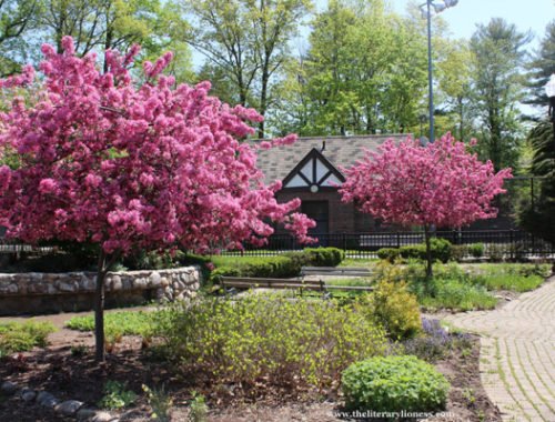 Verona Park