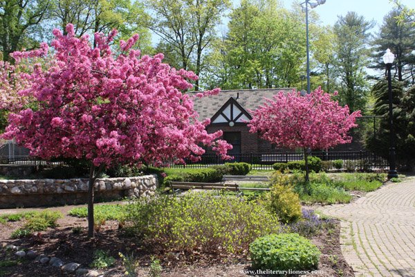 Verona Park