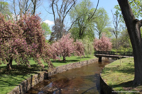 flowering trees