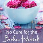 No Cure for the Broken Hearted book cover